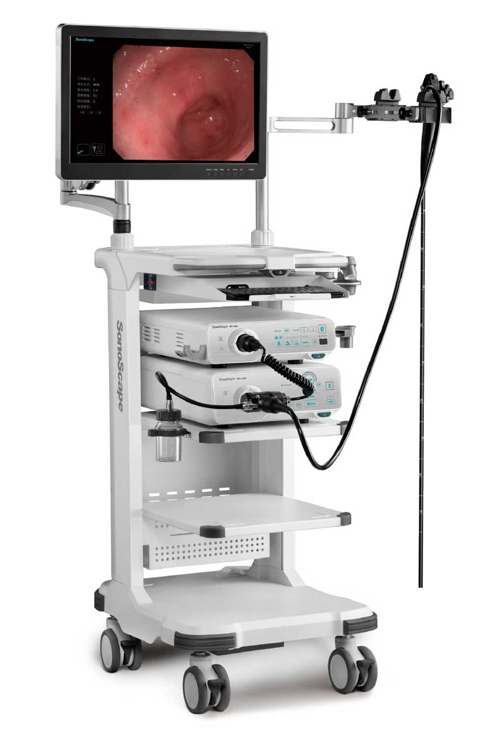 Endoscope System